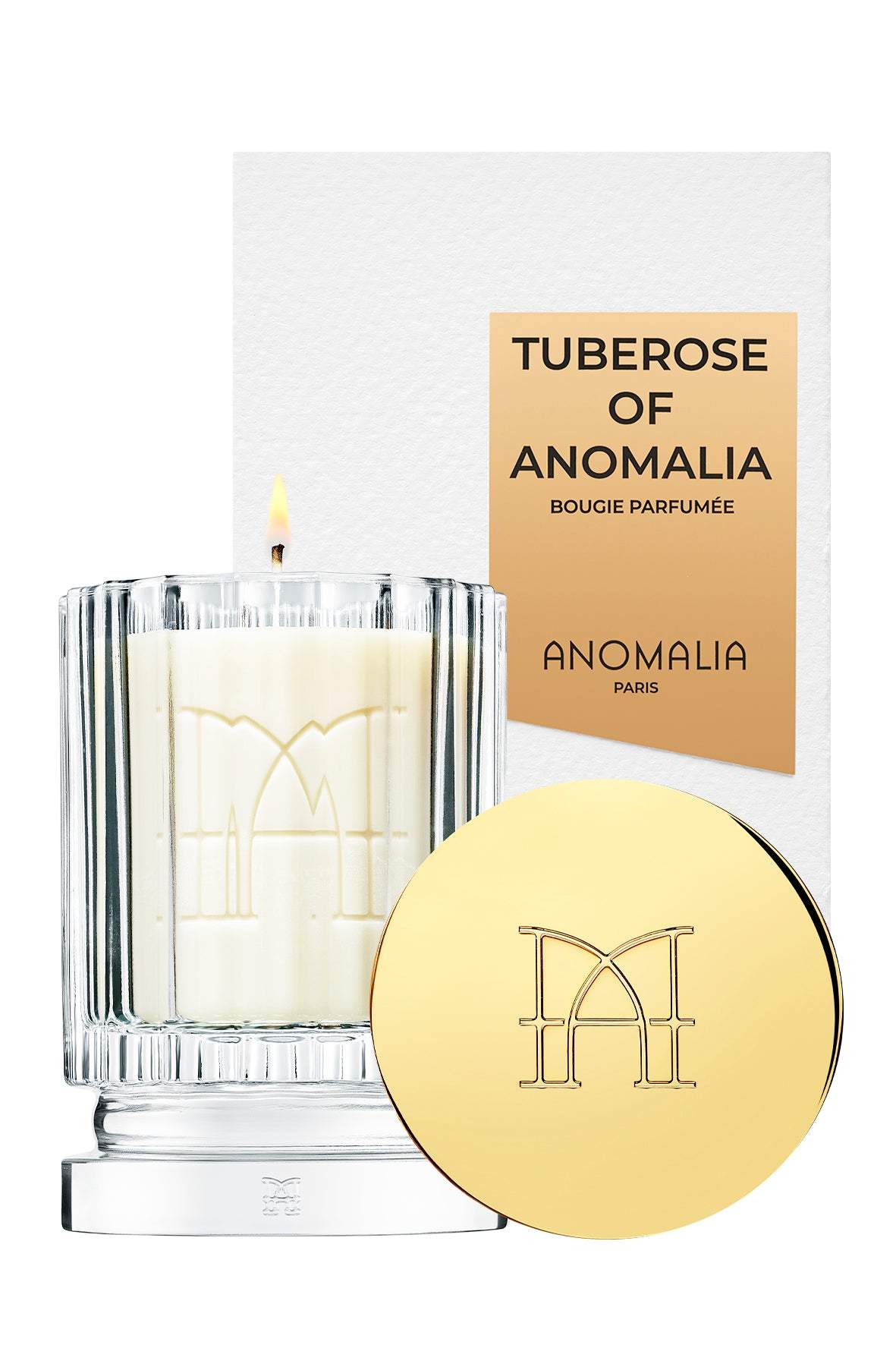 TUBEROSE OF ANOMALIA