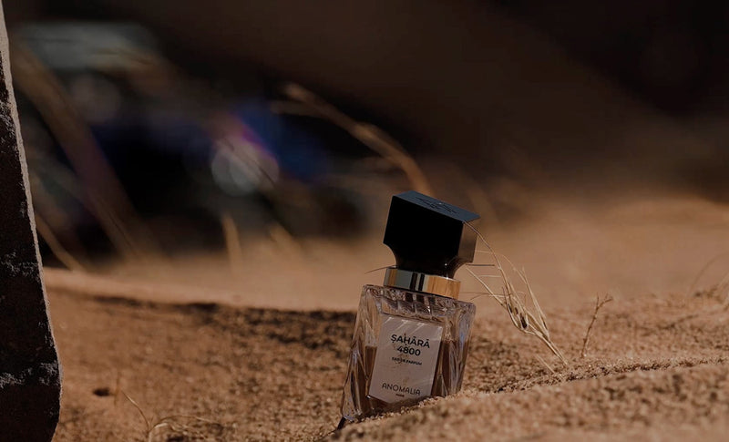 The Scent of Success 