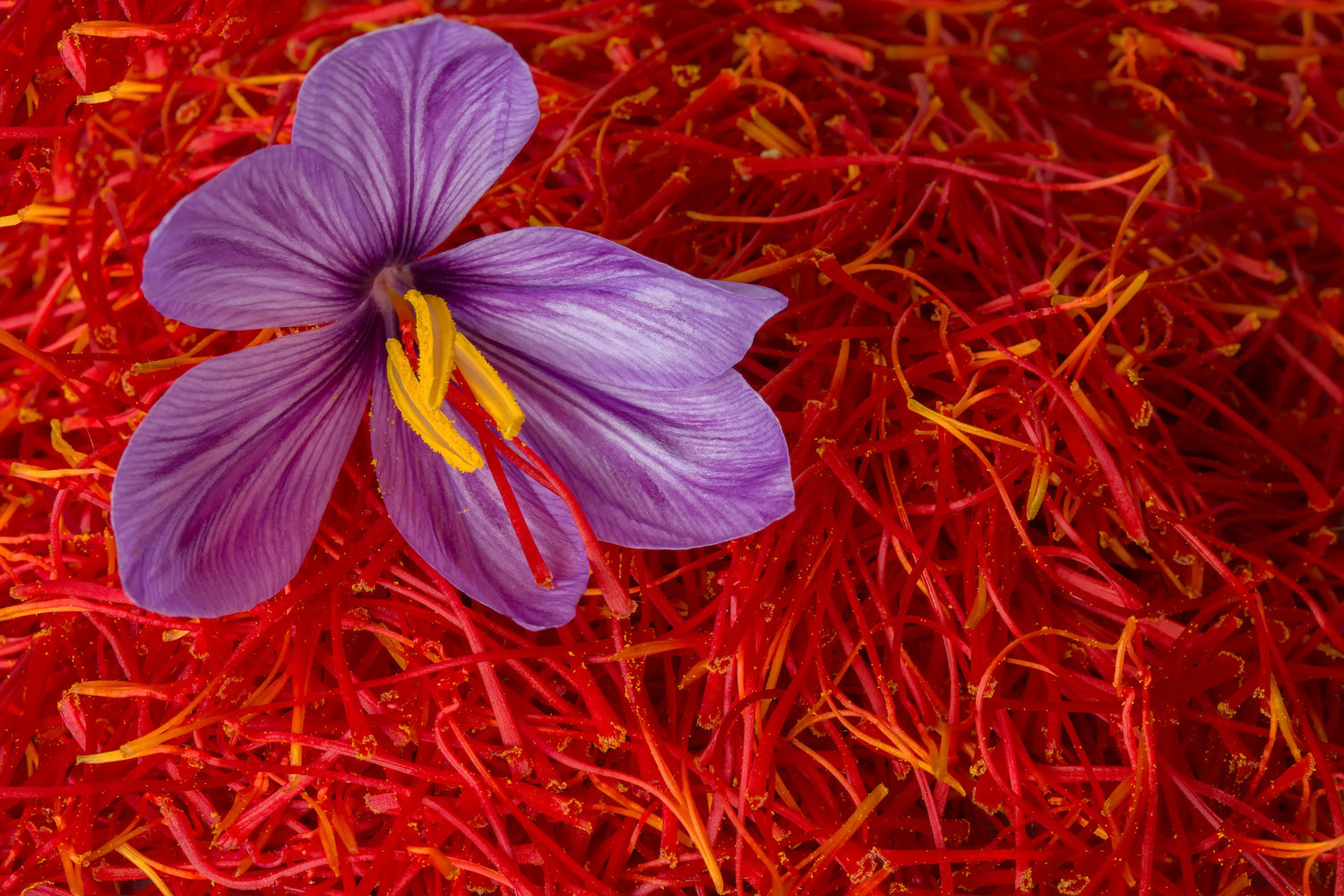 Saffron