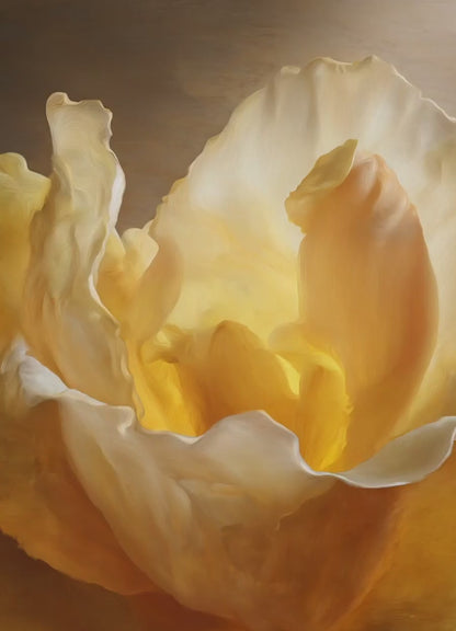 ROCK ROSE